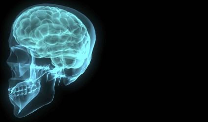 braininskull braininskull