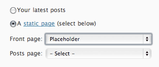 placeholder_selection